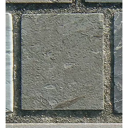 Stone 12RA23 from the Stone Wall at NIST