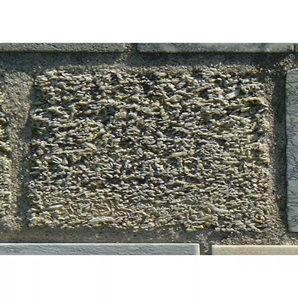 Stone 12RA27 from the Stone Wall at NIST