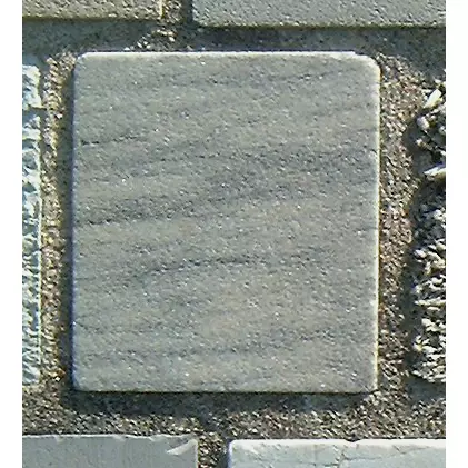 Stone 12RA29 from the Stone Wall at NIST