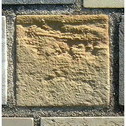 Stone 12RA9 from the Stone Wall at NIST