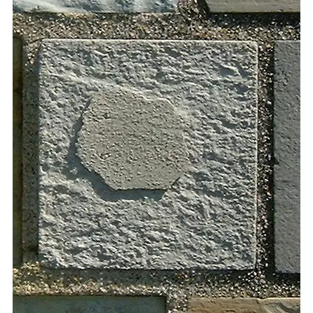 Stone 12RB14 from the Stone Wall at NIST