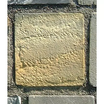 Stone 12RB22 from the Stone Wall at NIST