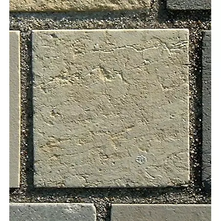 Stone 12RB9 from the Stone Wall at NIST