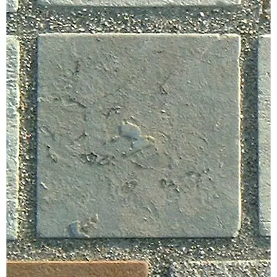 Stone 13LB12 from the Stone Wall at NIST