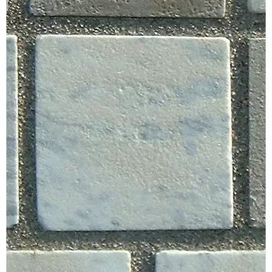 Stone 13LB19 from the Stone Wall at NIST