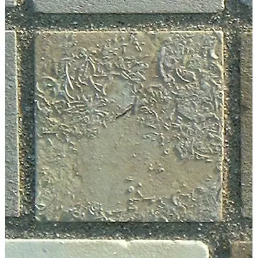 Stone 13LB21 from the Stone Wall at NIST