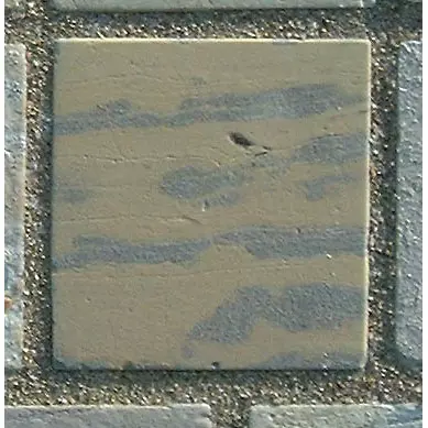 Stone 13Lb8 from the Stone Wall at NIST