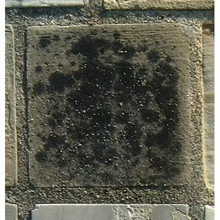 Stone 13RA14 from the Stone Wall at NIST