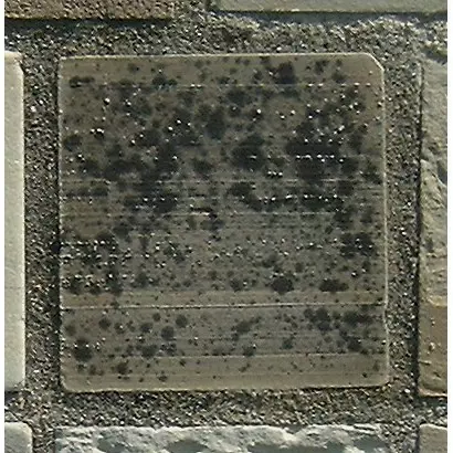 Stone 13RA16 from the Stone Wall at NIST