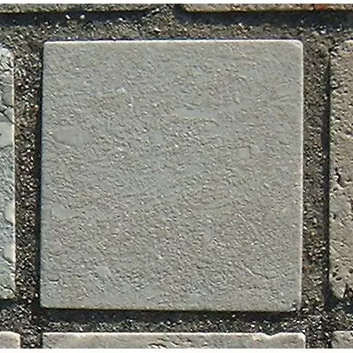 Stone 13RA28 from the Stone Wall at NIST