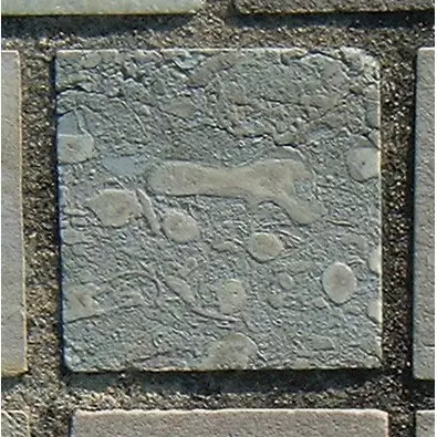 Stone 13RA29 from the Stone Wall at NIST