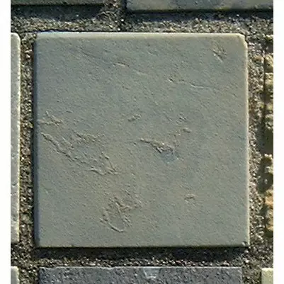 Stone 13RA8 from the Stone Wall at NIST