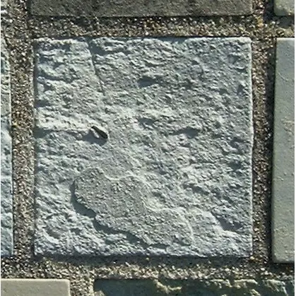 Stone 13RB10 from the Stone Wall at NIST