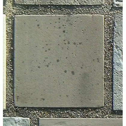 Stone 13RB12 from the Stone Wall at NIST