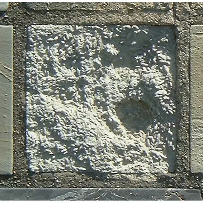 Stone 13RB24 from the Stone Wall at NIST