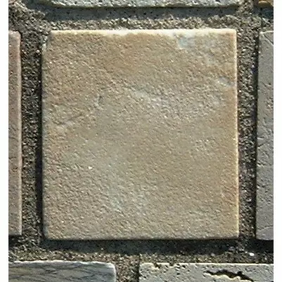 Stone 13RB31 from the Stone Wall at NIST