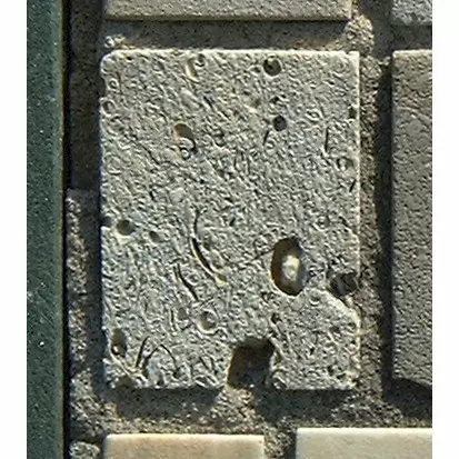 Stone 13RB47 from the Stone Wall at NIST
