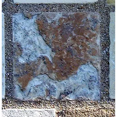 Stone 14LB14 from the Stone Wall at NIST