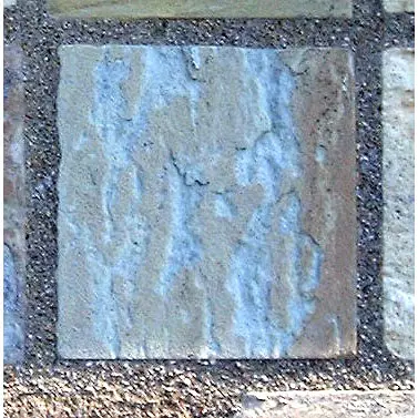 Stone 14LB15 from the Stone Wall at NIST