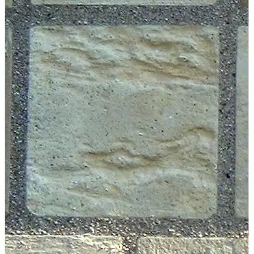 Stone 14LB16 from the Stone Wall at NIST