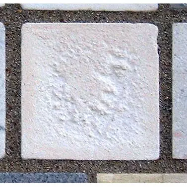 Stone 14LB24 from the Stone Wall at NIST