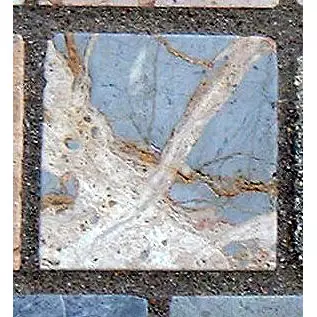 Stone 14LB36 from the Stone Wall at NIST