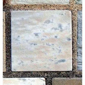Stone 14RB2 from the Stone Wall at NIST
