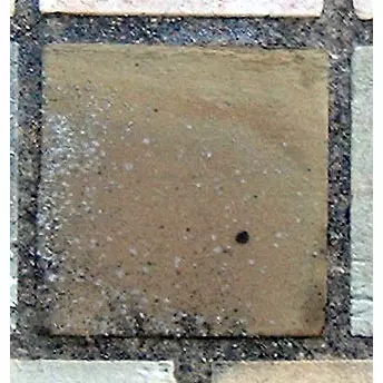 Stone 14RB46 from the Stone Wall at NIST