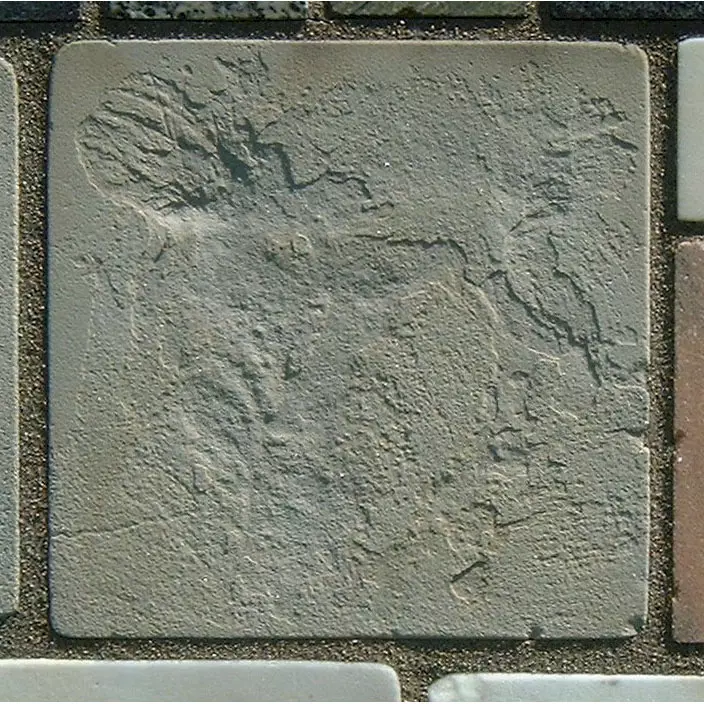 Stone 4L9 from the Stone Wall at NIST