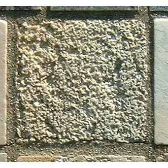Stone 4LA19 from the Stone Wall at NIST