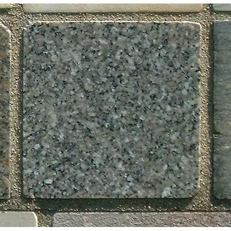 Stone 4LB15 from the Stone Wall at NIST