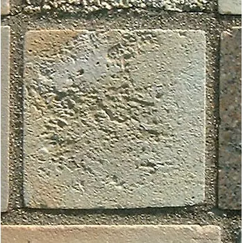 Stone 4LB19 from the Stone Wall at NIST
