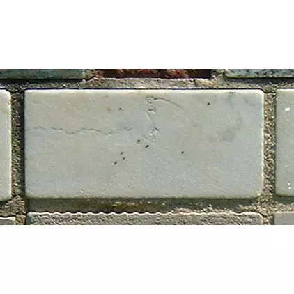 Stone 4RA12 from the Stone Wall at NIST