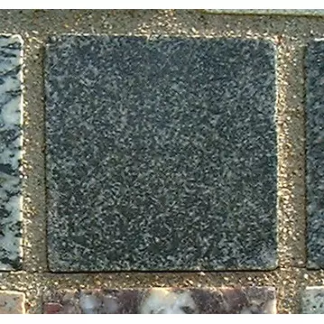 Stone 5LA42 from the Stone Wall at NIST
