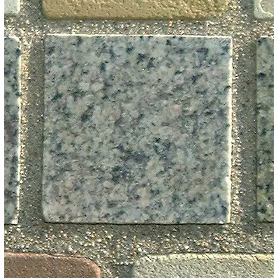 Stone 5LB17 from the Stone Wall at NIST