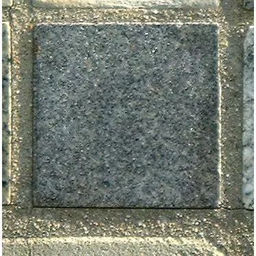 Stone 5LB19 from the Stone Wall at NIST