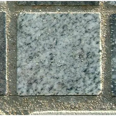 Stone 5LB20 from the Stone Wall at NIST