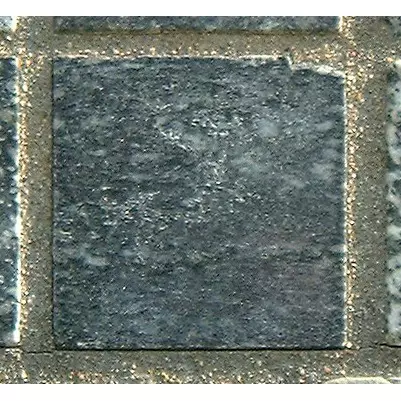 Stone 5LB22 from the Stone Wall at NIST