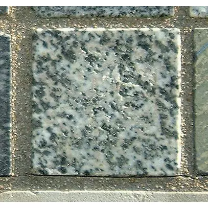 Stone 5LB23 from the Stone Wall at NIST