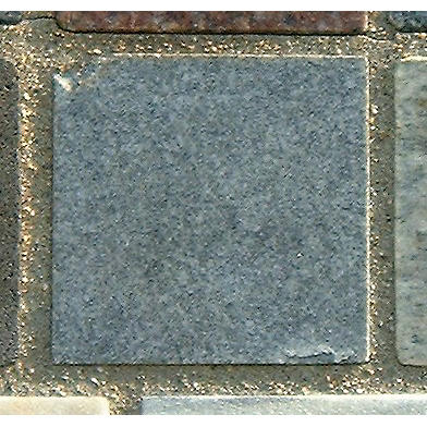 Stone 5LB37 from the Stone Wall at NIST