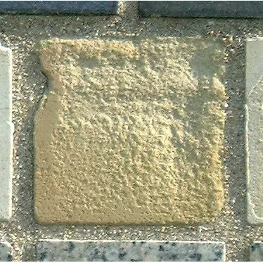 Stone 5La17 from the Stone Wall at NIST