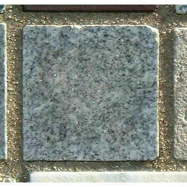 Stone 5Lb44 from the Stone Wall at NIST