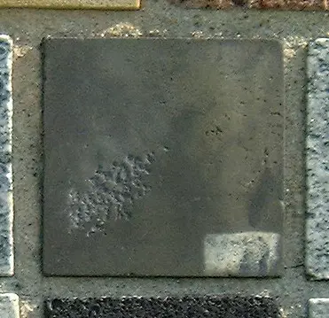 Stone 5RA37 from the Stone Wall at NIST