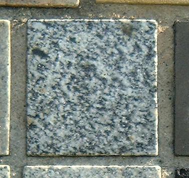 Stone 5RA38 from the Stone Wall at NIST