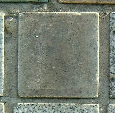 Stone 5RA39 from the Stone Wall at NIST