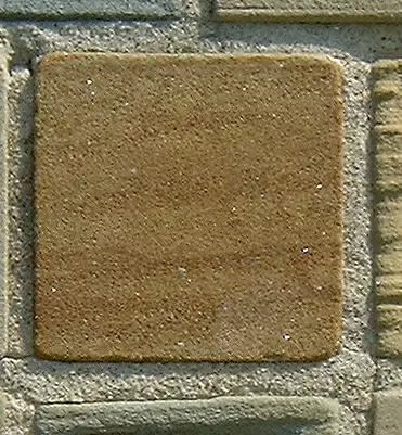 Stone 5RA6 from the Stone Wall at NIST