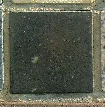 Stone 5RB16 from the Stone Wall at NIST