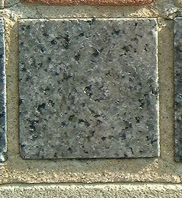 Stone 5RB19 from the Stone Wall at NIST