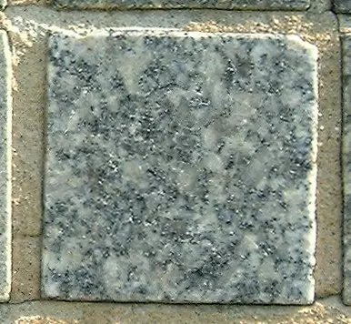 Stone 5RB22 from the Stone Wall at NIST