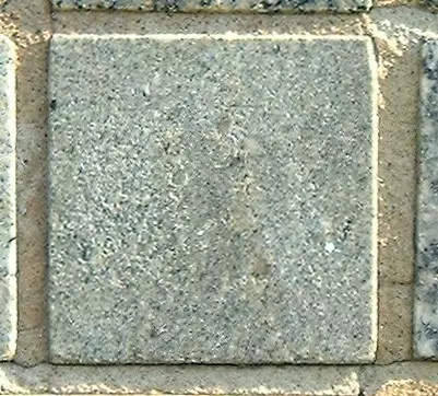 Stone 5RB23 from the Stone Wall at NIST